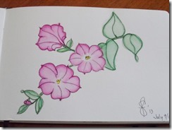 doodles from Hermits Bay (1)