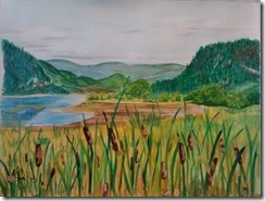 IMG_20150827_165907441