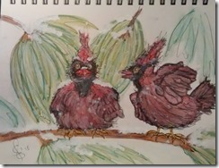 IMG_20151206_150158946