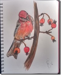 Painting Male pine grosbeak