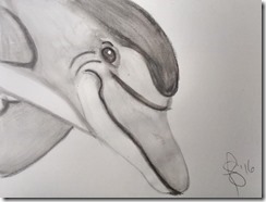 IMG_20160413_150811579_HDR