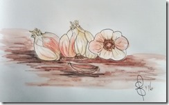 IMG_20160417_142139746_HDR