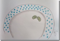 IMG_20160419_103555172_HDR