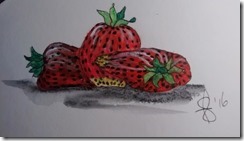 IMG_20160509_150546383