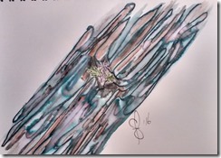 IMG_20160606_114023783_HDR