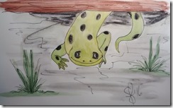 IMG_20160606_140219460