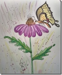 IMG_20160607_114026464_HDR