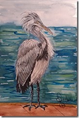 IMG_20160607_144833252