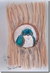 IMG_20160614_104435591_HDR