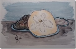 IMG_20160615_104519526