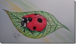 IMG_20160619_142024385