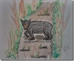 IMG_20160621_111024316_HDR