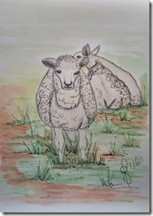 IMG_20160628_112557038_HDR